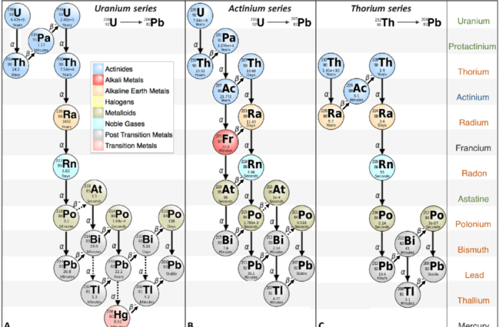 Decay series of uranium-238 answer key