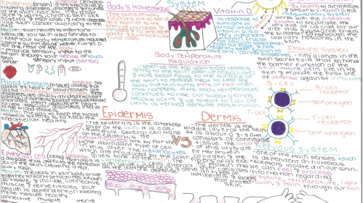 Concept map of integumentary system