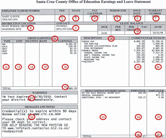 Reading a pay stub worksheet