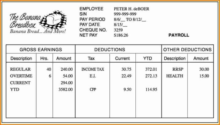 Reading a pay stub worksheet